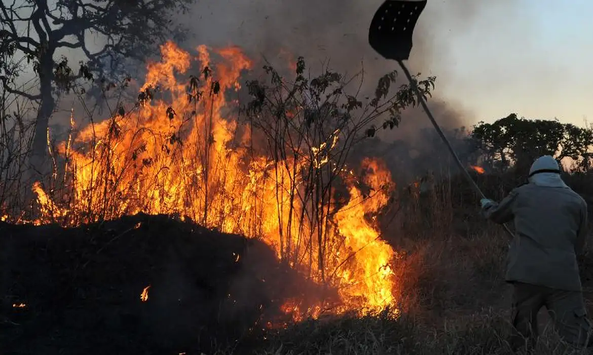 Fogo na Amazônia cresce 132% nas florestas em agosto