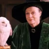 Maggie Smith, icônica atriz da saga Harry Potter, morre aos 89 anos