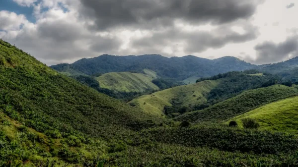 Maior operação do país contra o desmatamento da Mata Atlântica começa em 17 Estados