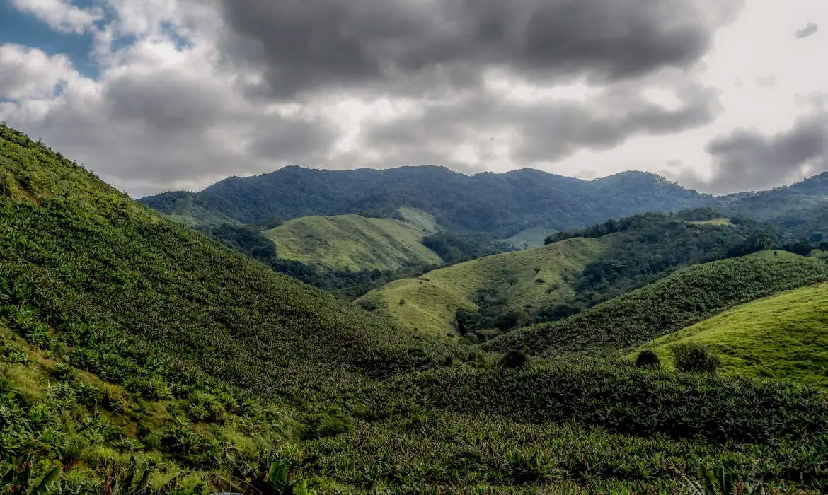 Maior operação do país contra o desmatamento da Mata Atlântica começa em 17 Estados