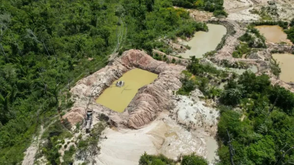 Terra Indígena Kayapó tem mais de 17% de área tomada pelo fogo