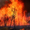 Brasília amanhece coberta por fumaça de incêndio no Parque Nacional; PF investiga origem das queimadas