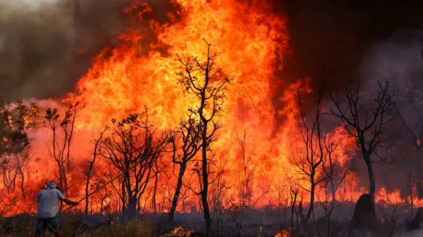 Brasília amanhece coberta por fumaça de incêndio no Parque Nacional; PF investiga origem das queimadas