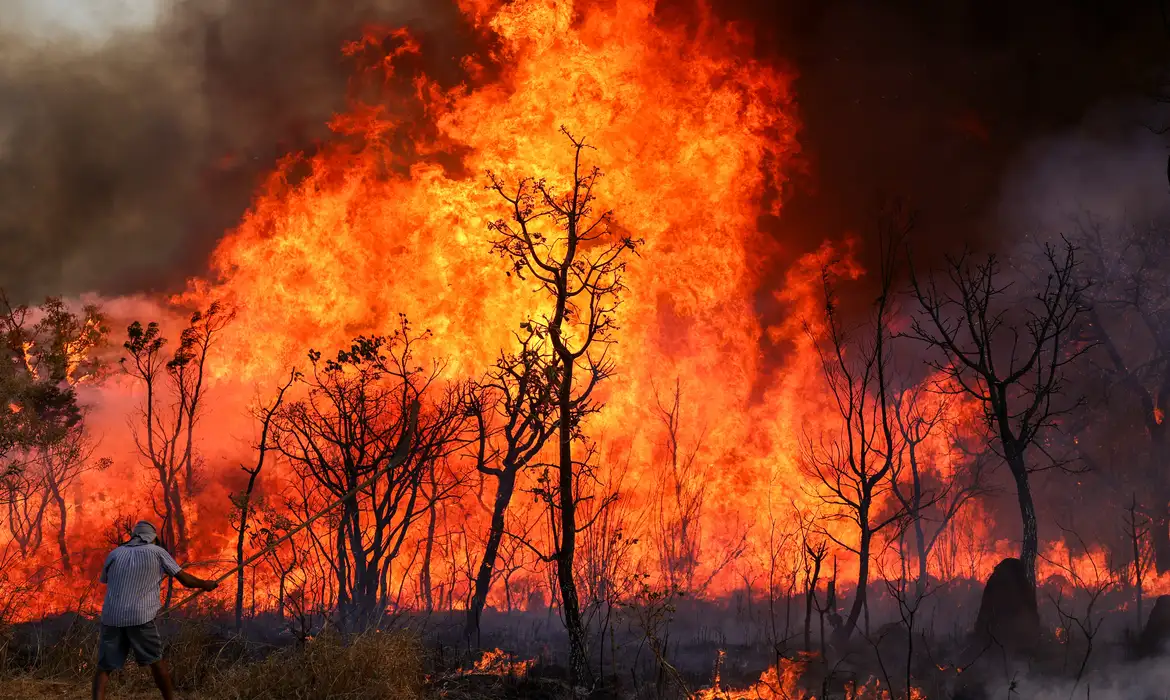 Brasília amanhece coberta por fumaça de incêndio no Parque Nacional; PF investiga origem das queimadas