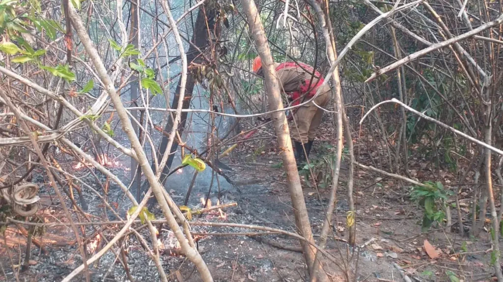 GO: Incêndio na Chapada dos Veadeiros ainda não foi controlado