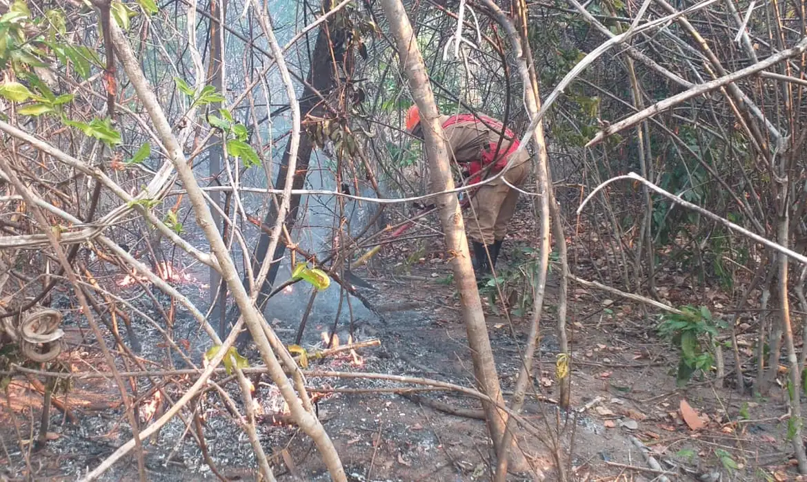 GO: Incêndio na Chapada dos Veadeiros ainda não foi controlado