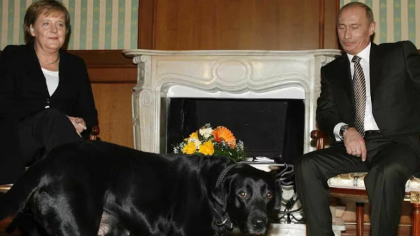 Angela Merkel putin e labrador