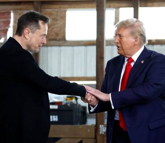 elon musk e trump