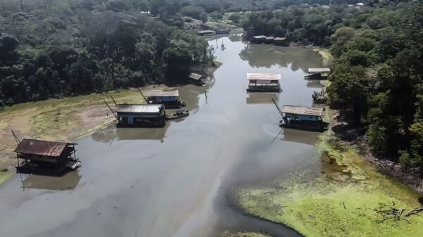 Rios na Amazônia têm risco muito alto de contaminação por mercúrio