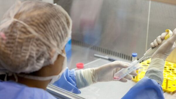 SUS bate recorde com 431 doações de medula óssea em 2024