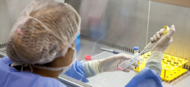 SUS bate recorde com 431 doações de medula óssea em 2024