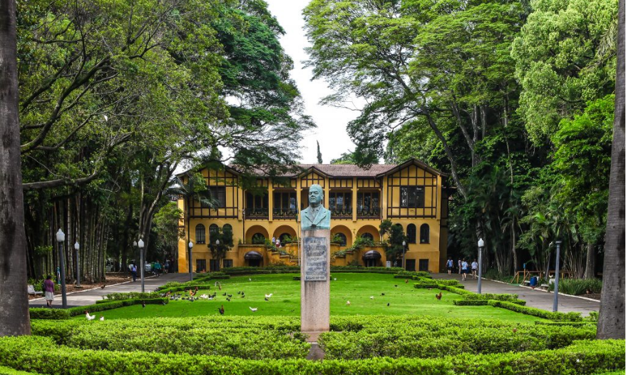 serviços de saúde, transporte e mais em São Paulo