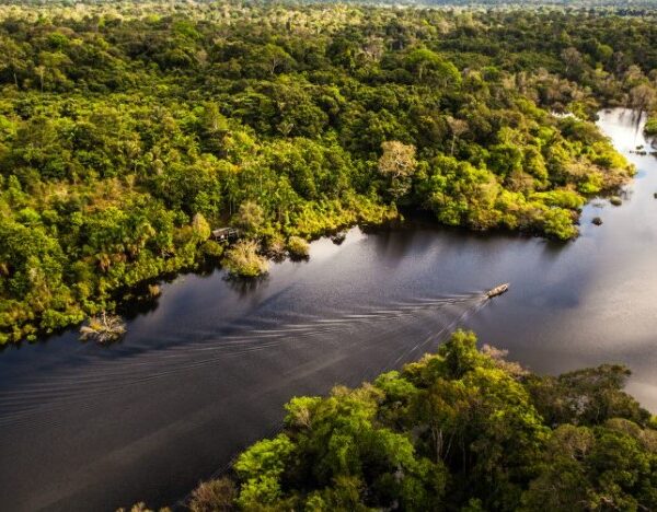 foz do Amazonas