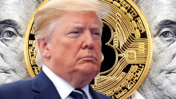 donald trump criptomoedas