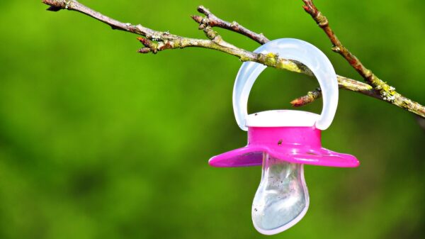 chupetas para bebês