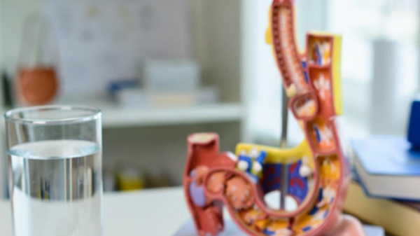 Cânceres Mais Mortais do Mundo