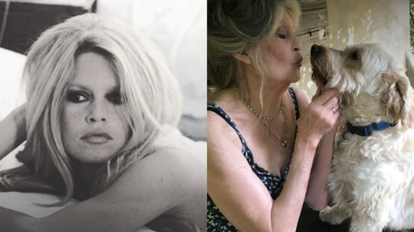 Morre Brigitte Bardot