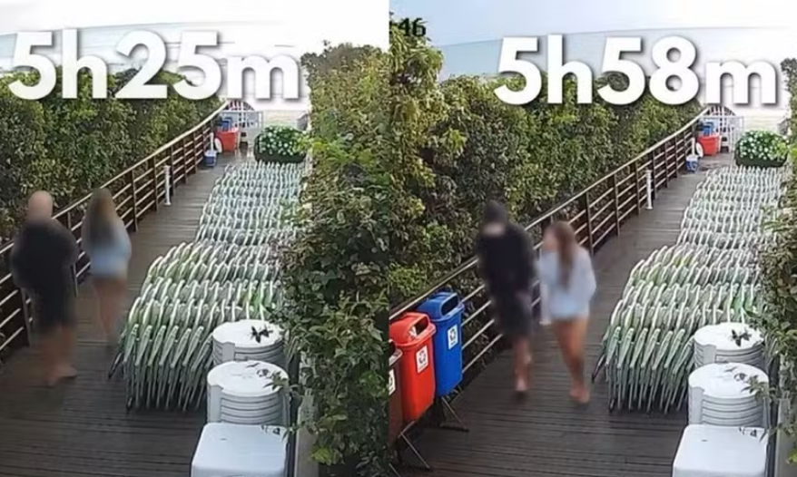 adolescente cão orelha