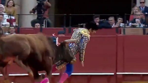 Morante de la Puebla