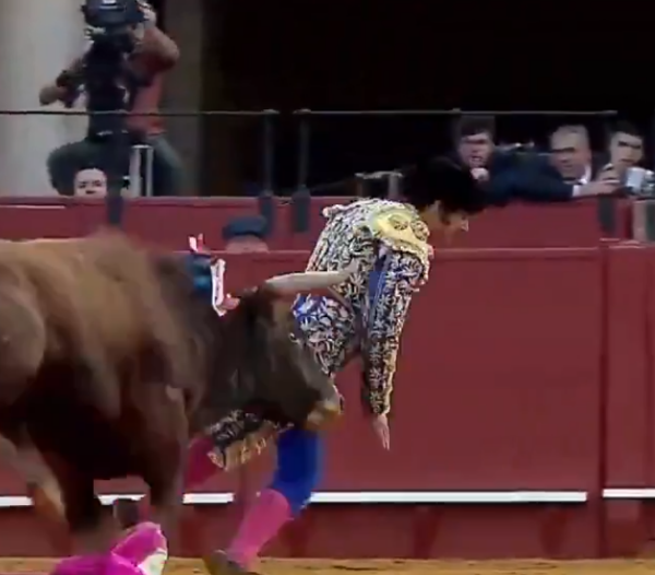 Morante de la Puebla