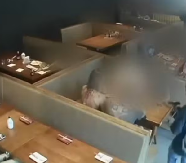 o restaurante japonês Natory Sushi, localizado no Morumbi