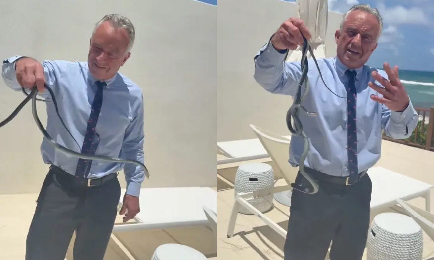 Secretário de Saúde dos EUA aparece em vídeo manipulando cobras