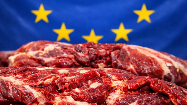 UE carne