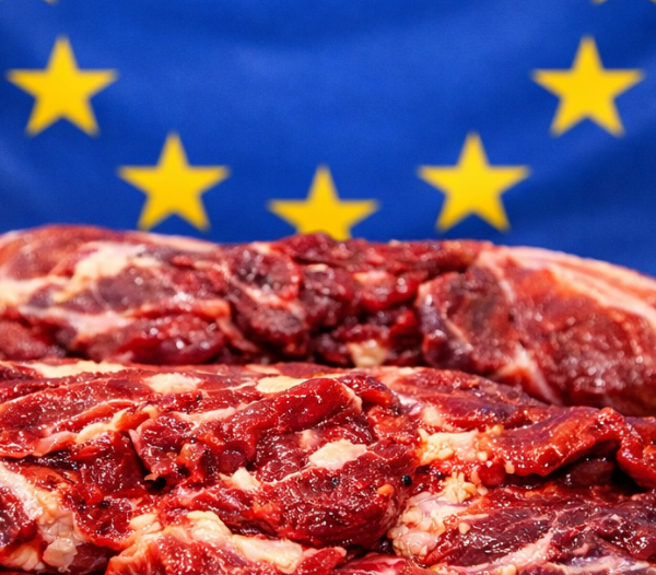 UE carne