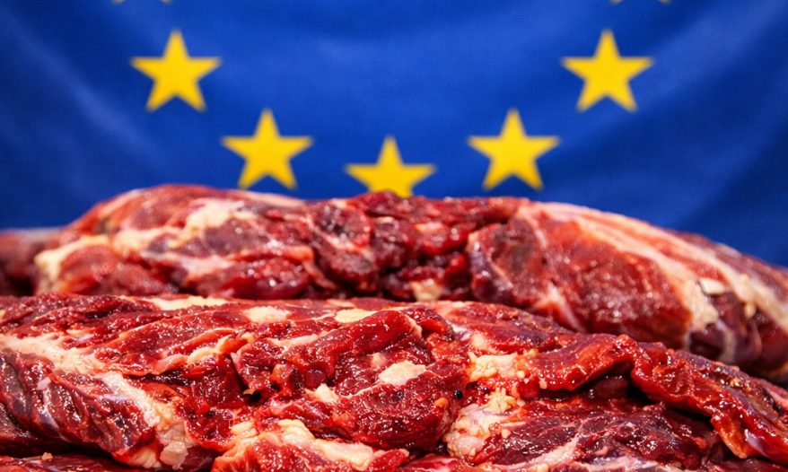 A reação do governo após a UE excluir o Brasil da lista de exportadores de carne; veja o que disse