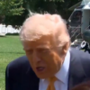 trump repórter burra
