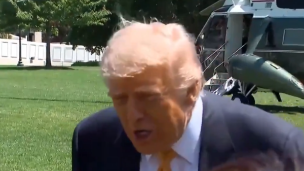 trump repórter burra