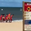 tubarão