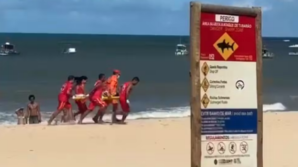 tubarão