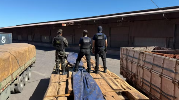 50 toneladas de cocaína