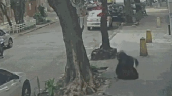 Mulher cai em bueiro no Rio