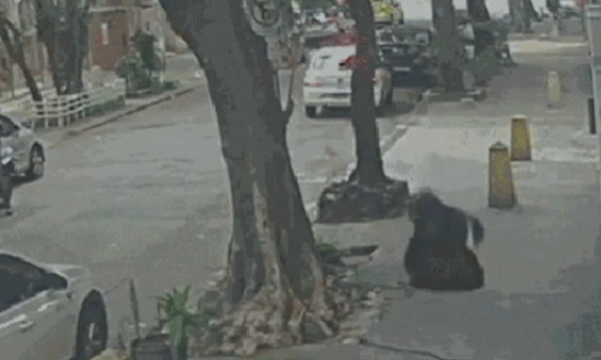 Mulher cai em bueiro no Rio de Janeiro após tampa ceder; ASSISTA!