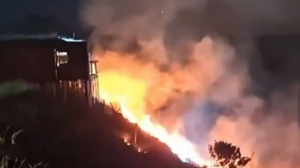 Chá revelação com fogos