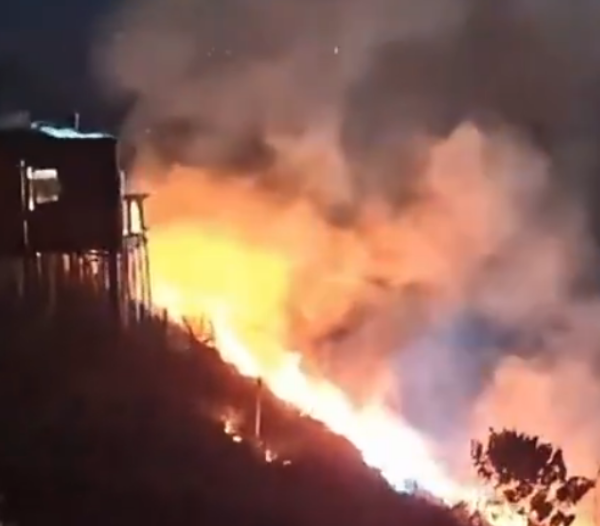 Chá revelação com fogos