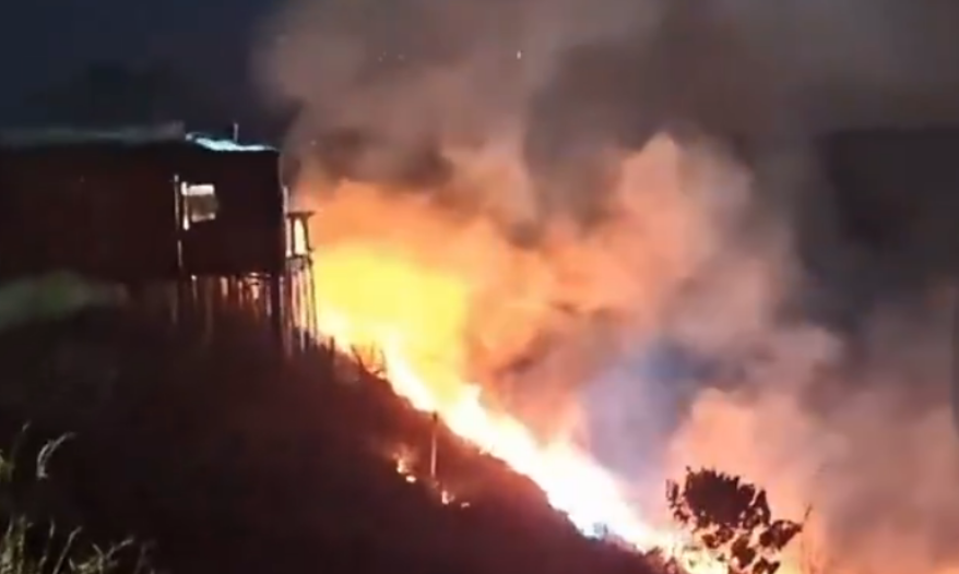 Chá revelação com fogos
