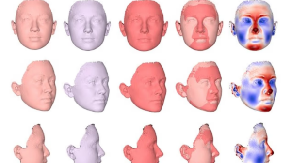 características faciais
