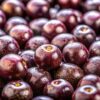 genoma do açaí