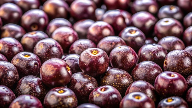 genoma do açaí