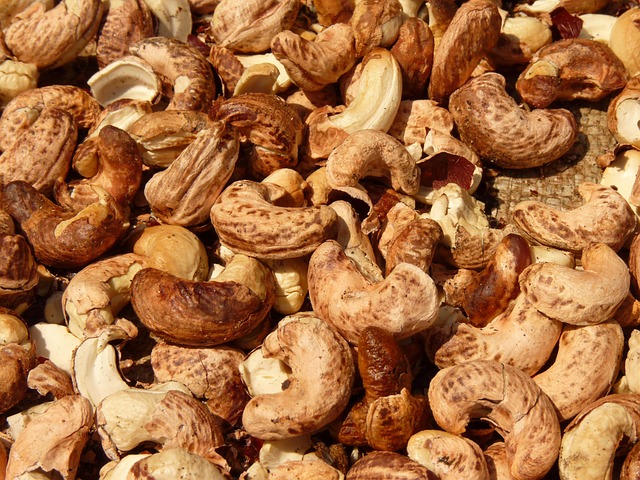 castanha-de-caju