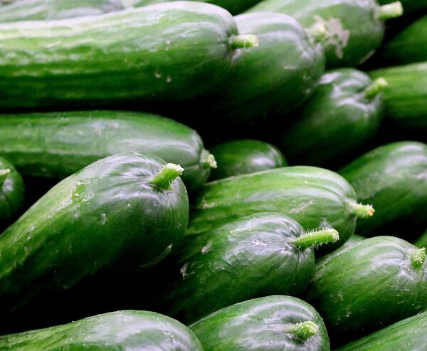 pepino