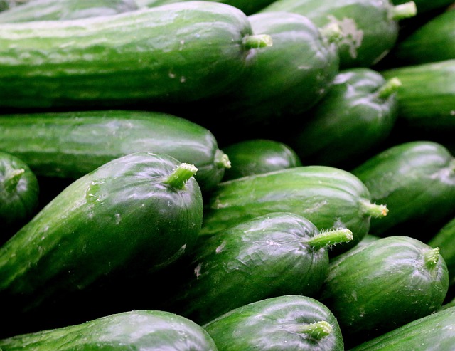 pepino