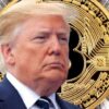 trump cripto