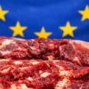 UE carne