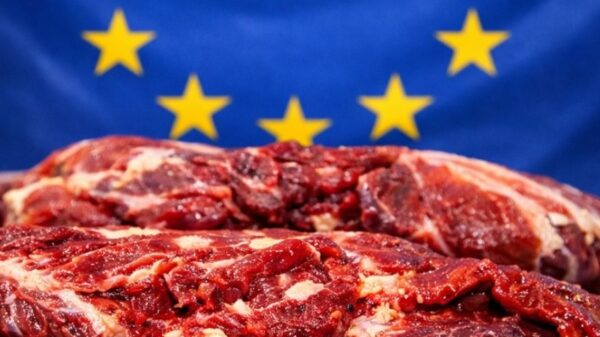 UE carne