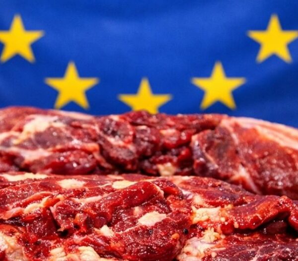 UE carne