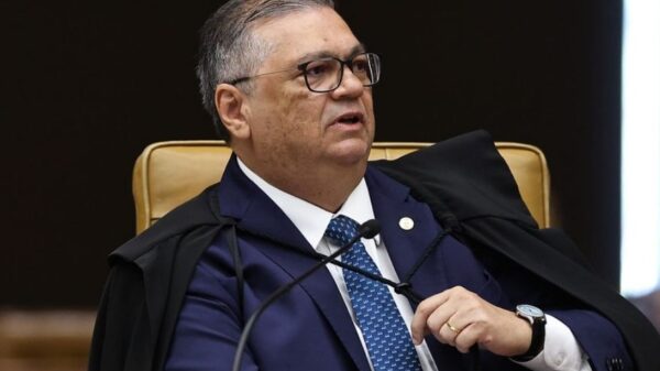 dino stf